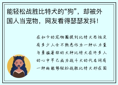 能轻松战胜比特犬的“狗”，却被外国人当宠物，网友看得瑟瑟发抖！